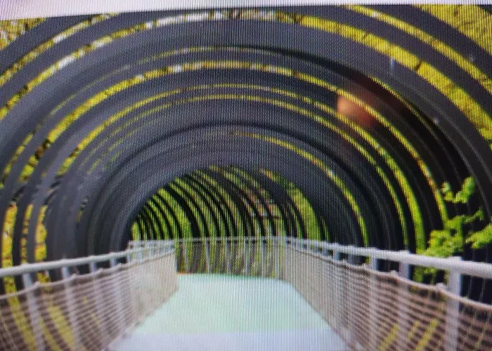 Fewofaubelcentro 42 & 54 & 62 M2